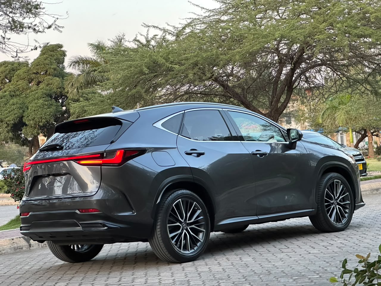 LEXUS NX 450H+ F- SPORT thumbnail 3